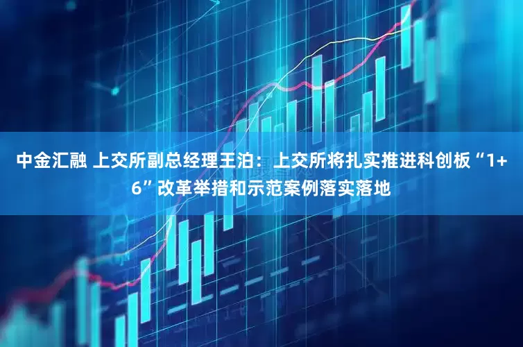 中金汇融 上交所副总经理王泊：上交所将扎实推进科创板“1+6”改革举措和示范案例落实落地