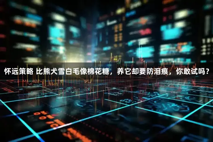 怀远策略 比熊犬雪白毛像棉花糖，养它却要防泪痕，你敢试吗？