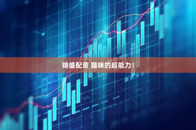 镕盛配资 猫咪的超能力！