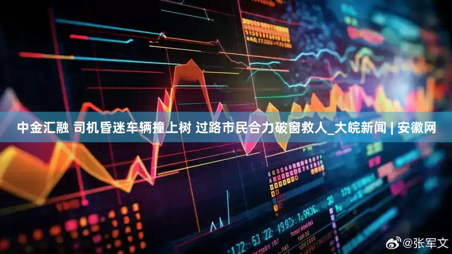 中金汇融 司机昏迷车辆撞上树 过路市民合力破窗救人_大皖新闻 | 安徽网